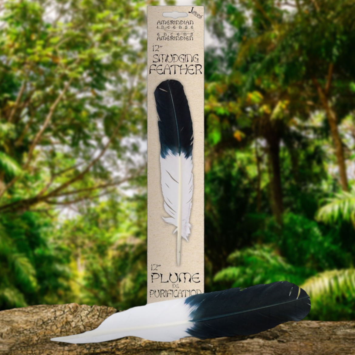 Plume de Purification/ Smudging Feather
