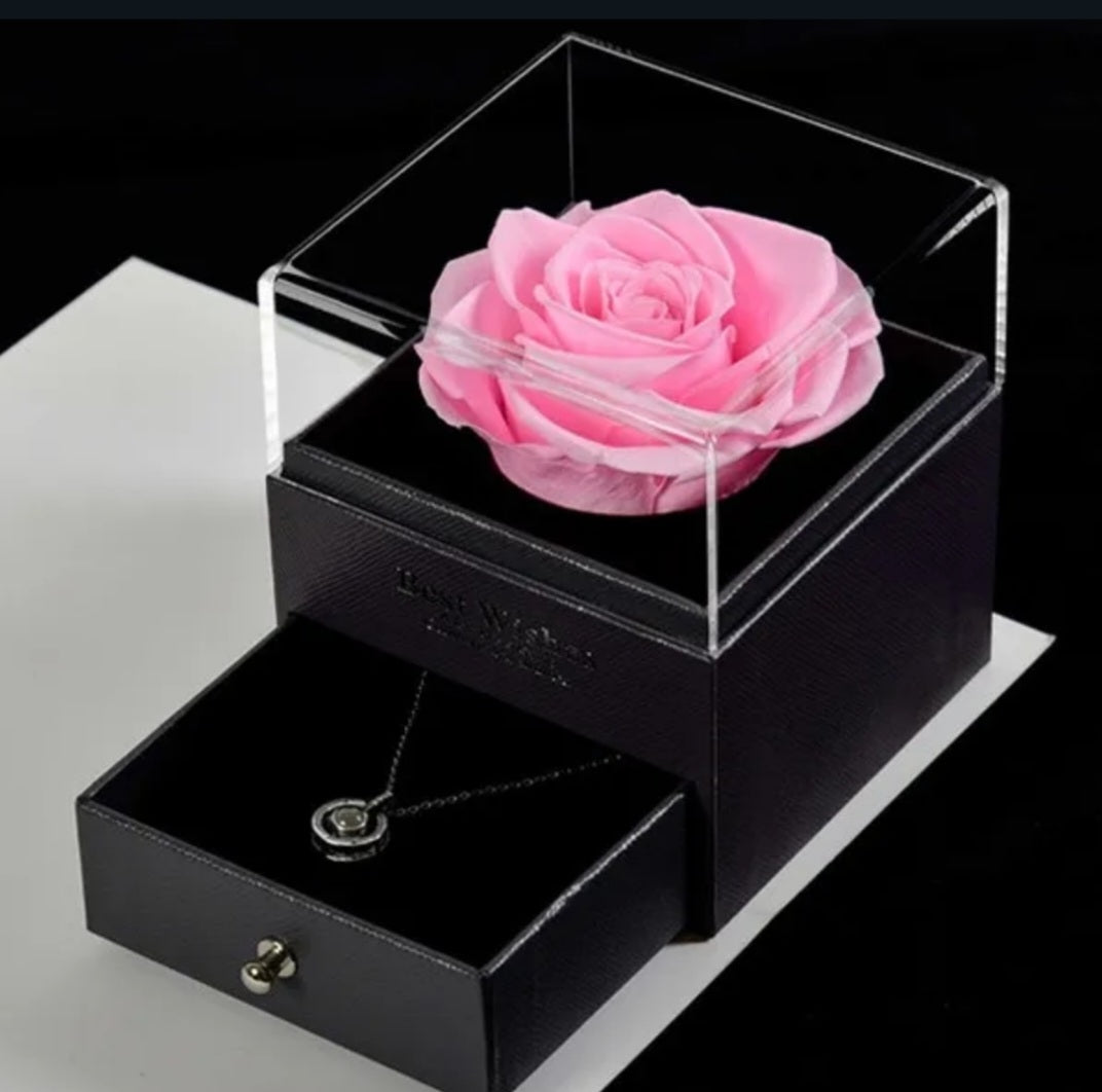 Rose Éternelle / Rose Éternelle