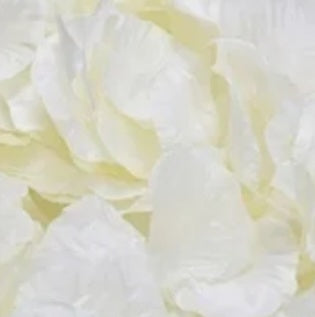 Pétales de Roses Artificielles / Artifical Rose Petals
