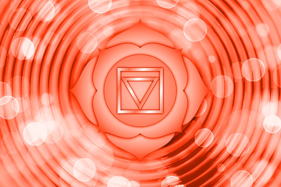 Séance de Reiki pour Chakra Racine/ Root Chakra Reiki Session